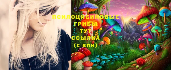 гидра Белокуриха